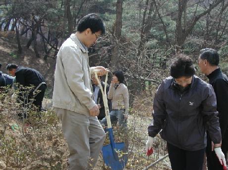 식목행사