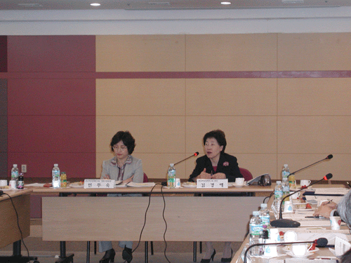 2008년 제1차 자문회의 2